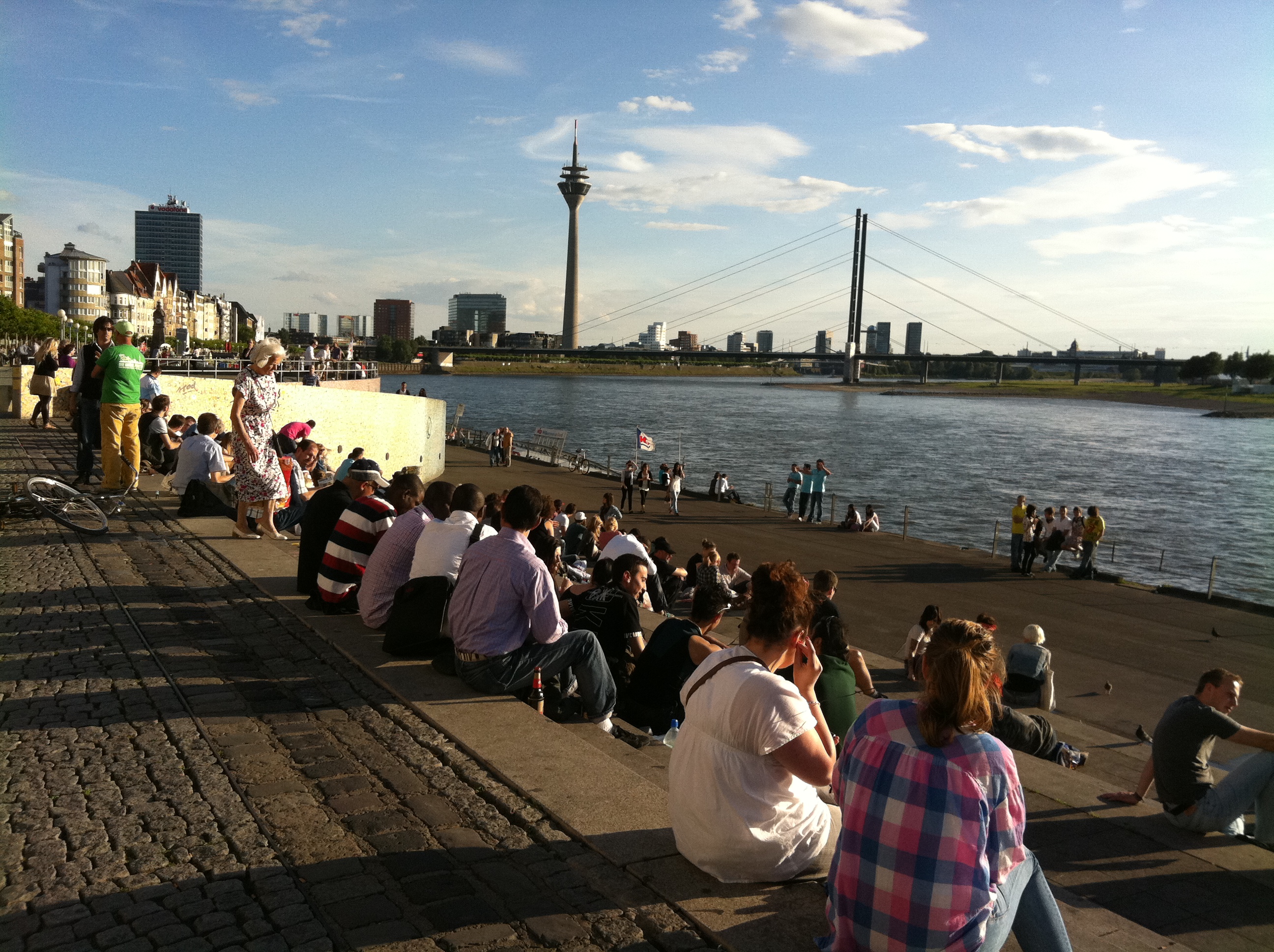 rhin